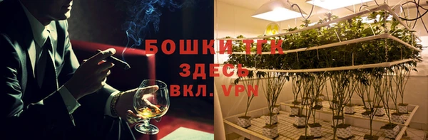 гидра Гусиноозёрск
